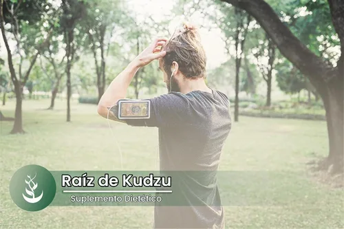 Vista 5 de Ingredientes originales puros raíz de kudzu (100 cápsulas) siempre puro, sin aditivos ni rellenos