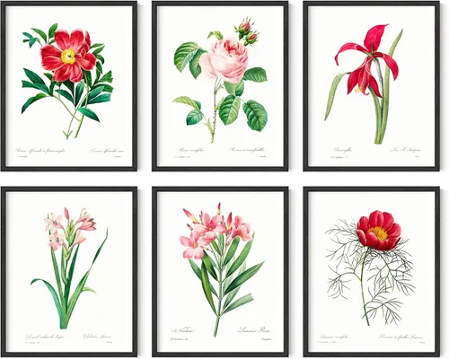 Vista 37 de HAUS AND HUES Pósteres florales y de plantas, juego de 6 impresiones botánicas, arte de pared de flores y plantas, decoración botánica