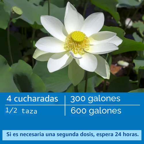 Vista 5 de API POND ACCU-CLEAR - Clarificador de agua para estanque de 1 galón