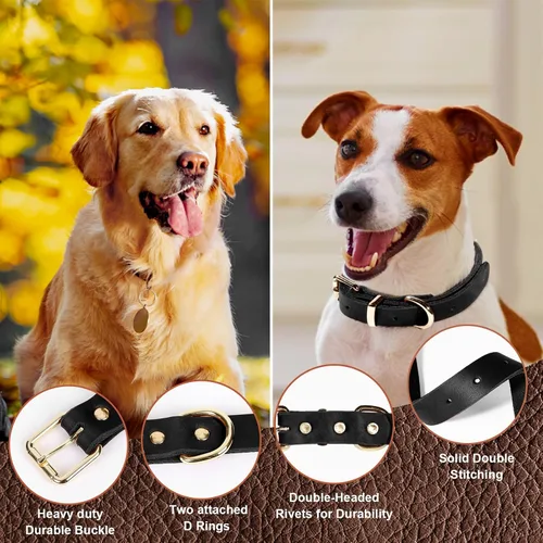 Vista 4 de Guiding Star Juego de correa y collar de cuero para perro de 5 pies, cuero trenzado suave con collar ajustable, combo resistente para perros Negro