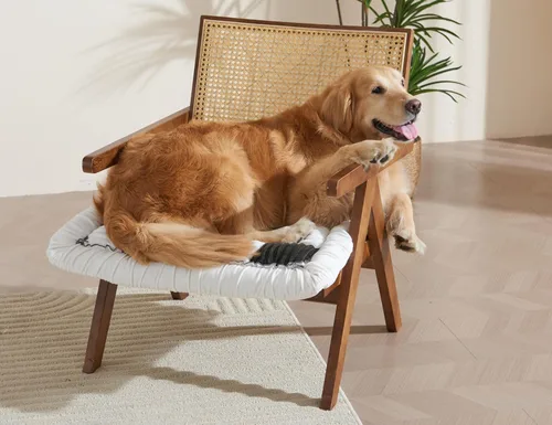 Vista 6 de Funda de cojín de sofá para perros, funda lavable para sofá de mascotas, fundas de sofá para love seat, fundas deslizables, manta protectora de sofá