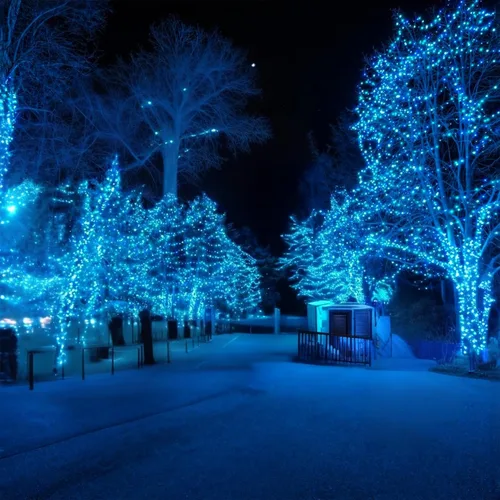 Vista 7 de Luces LED de Navidad Aqua de 50 pies, 100 unidades - Exteriores, Grado Comercial, Impermeable, Cable Verde, Navidad, IP65, UL Listado