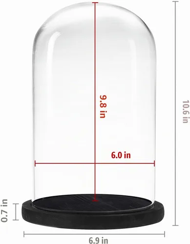 Vista 2 de MyGift The Bell Jar Cloche de cristal con base de madera negra, 10 pulgadas de alto, cúpula de cristal decorativa transparente para plantas Negro