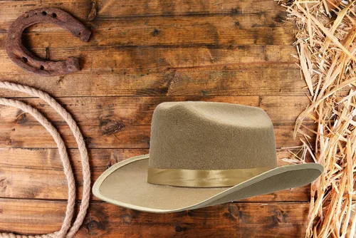 Vista 5 de The Dreidel Company Sombrero de vaquero para disfraz infantil, juegos de roles y recuerdos de fiesta