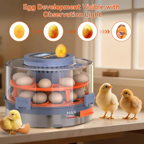 Vista 10 de Incubadora de huevos para incubar 18 huevos con giro automático, sensor de humedad, 5 modos preestablecidos, tapa transparente para observación