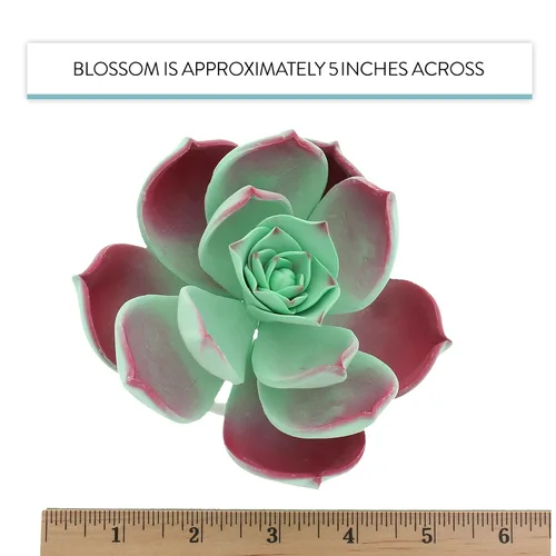 Vista 7 de Global Sugar Art Suculentas flores grandes para tarta de azúcar de Tauro con alambre, 1 unidad por el chef Alan Tetreault Gumpaste flowers for