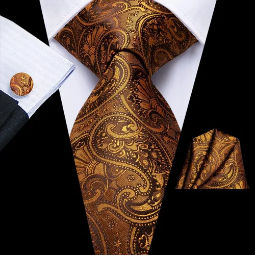 Vista 4 de Dubulle Conjunto de corbata de seda paisely para hombre con corbata y bolsillo cuadrado