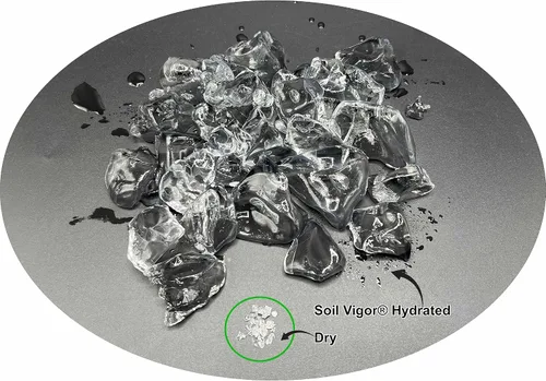 Vista 2 de Cristales de almacenamiento de agua (1 libra) – Hidrogel de polímero súper absorbente para jardines, césped y plantas en maceta, reduce el riego
