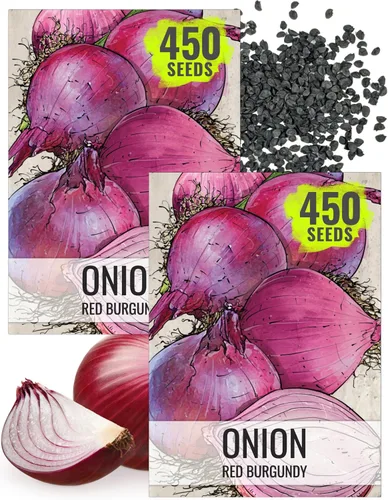 Vista 18 de Seed Needs Semillas de cebolla roja borgoña para plantar reliquia y sin OMG, 1 paquete