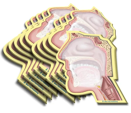 Vista 4 de Notas Adhesivas de Anatomía