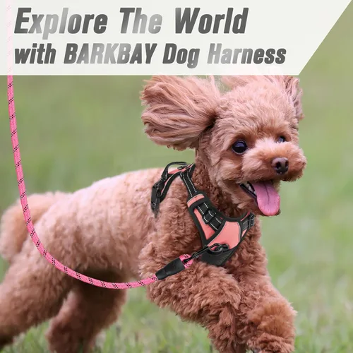Vista 64 de BARKBAY - Arnés para perro sin tirones con clip frontal, material resistente y reflectante, asa de fácil control para pasear perros grandes