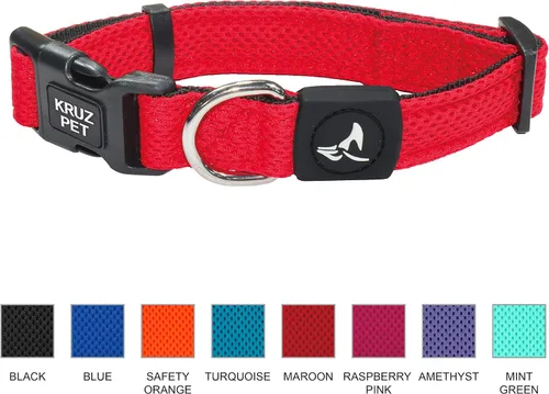 Vista 2 de Collar de perro para perros medianos (ancho - 3/4 pulgadas, largo - 17 - 21.5 pulgadas) Collar de perro turquesa acolchado ajustable con anillo