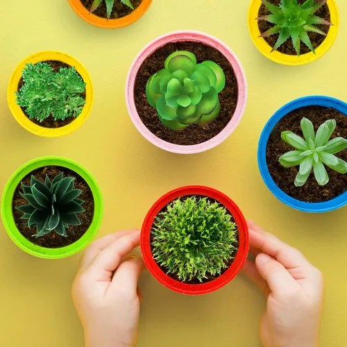 Vista 4 de QUOZUO Plantas suculentas artificiales, 14 plantas suculentas verdes, mini suculentas falsas para manualidades, hogar, jardín, oficina, fiesta