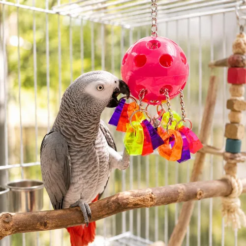 Vista 4 de Bonka Bird Toys 1938 Paci Pull Colorido Chupete Anillo Acrílico Loro Parrotlet Budgie Quaker Africano