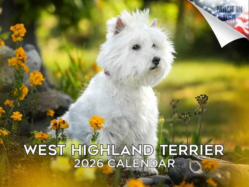 Vista 204 de Calendario de Lebrel Afgano 2025 2026, calendario mensual de pared de raza canina, 12" x 18" abierto, papel grueso sin traspaso, ideal para regalo