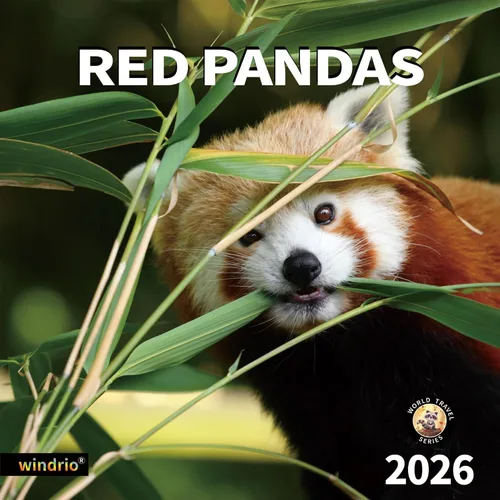 Vista 9 de Calendario de Pared 2026, Calendario 2026, Noviembre 2025 - Diciembre 2026, Calendario de Pared de Animales Bebés, 12" x 24" Abierto, Meses