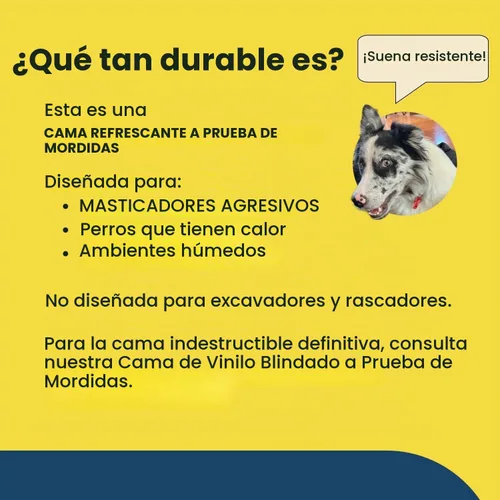 Vista 8 de K9 Ballistics Cama Cot Elevada de Enfriamiento para Exteriores a Prueba de Masticación para Perros Pequeños y Cachorros - Prácticamente Malla Negra