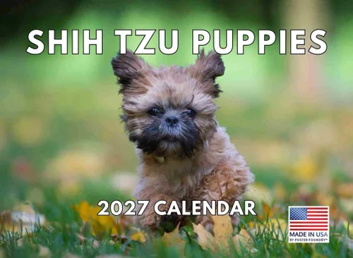 Vista 60 de Calendario mensual de pared Airedale Terrier Dog 2027