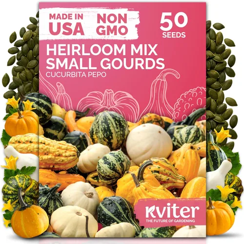 Vista 42 de KVITER 50 semillas de calabaza de azúcar orgánicas (Cucurbita Pepo) – Semilla de calabaza pequeña reliquia, carne dulce de grano fino para enlatar