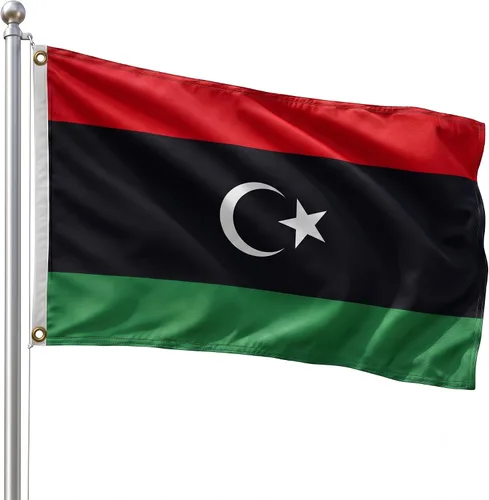 Vista 8 de DMSE - Bandera nacional beninesa beninesa de la República de África Occidental, 2 x 3 pies, 100 % poliéster, 100 % poliéster, resistente a los rayos