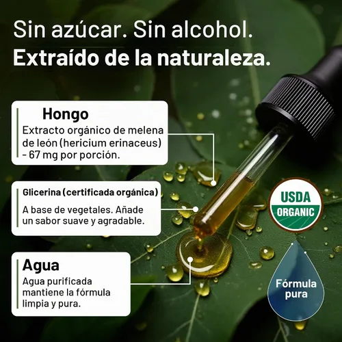 Vista 6 de USDA - Extracto de hongo de melena de león orgánico para el cerebro