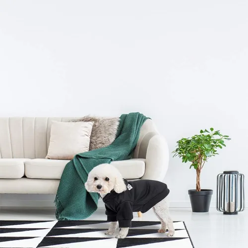 Vista 5 de SCENEREAL Sudaderas con capucha de seguridad para perros de tamaño pequeño, mediano y grande, ropa de felpa cepillada con gorro, abrigo de algodón