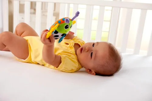 Vista 3 de LAMAZE Sonajero Bitty Bite Bug de 4.5 pulgadas (paquete de 1)