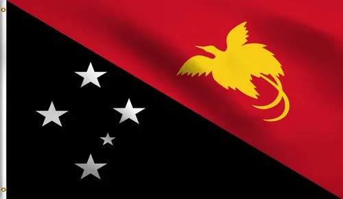 Vista 28 de DMSE - Bandera nacional beninesa beninesa de la República de África Occidental, 2 x 3 pies, 100 % poliéster, 100 % poliéster, resistente a los rayos