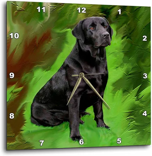 Vista 10 de 3drose Reloj de pared Black Labrador Retriever, 10 x 10 pulgadas