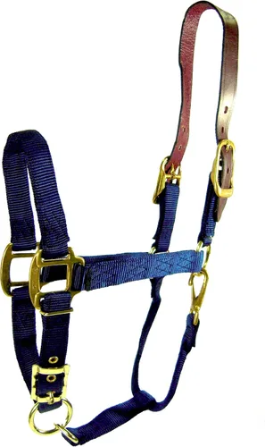 Vista 8 de Hamilton Cabestro ajustable de nailon de 1 pulgada con cabeza de cuero y broche de garganta, grande, negro