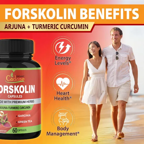 Vista 4 de Forskolina Suplementos Cápsulas con cúrcuma curcumina, Arjuna, Garcinia Cambogia, Té Verde - 60 Cápsulas