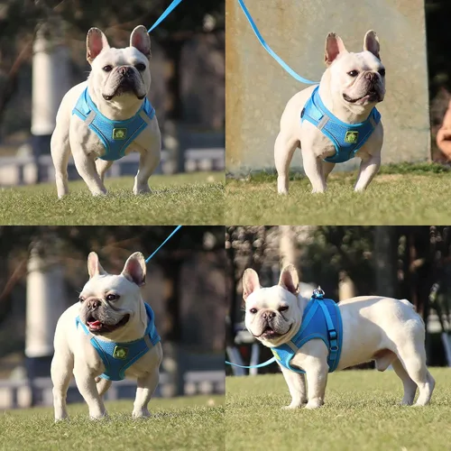 Vista 7 de Juego de arnés y correa para perros pequeños, arnés reflectante ajustable sin tirones, arnés transpirable suave para cachorros y perros pequeños