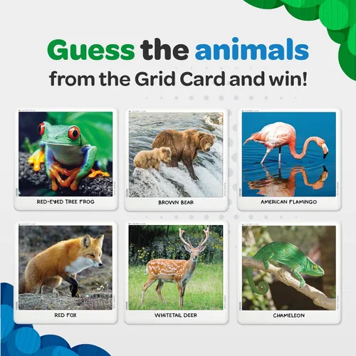 Vista 4 de National Geographic: Secret Clue Animals - Juego de cartas para niños de 7 años en adelante, juegos de mesa divertidos y cooperativos para niñas