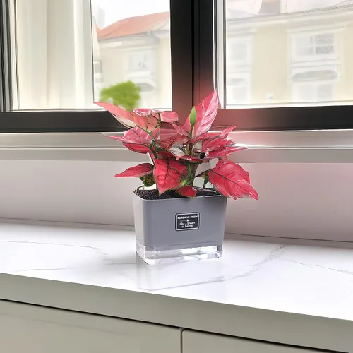 Vista 5 de FAMZ Macetas de autorriego para plantas de exterior, paquete de 4, adecuadas para plantas y flores de jardín de interior y exterior, caja de maceta