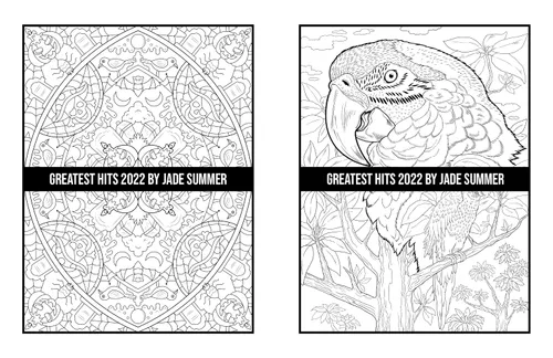 Vista 11 de Greatest Hits An Adult Coloring Book with the 100 Best Pages from the Jade Summer Collection