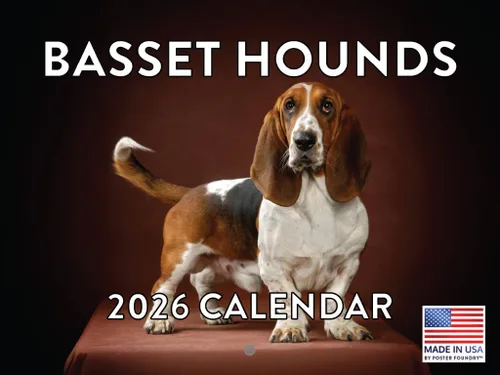 Vista 9 de Calendario mensual de pared Airedale Terrier Dog 2027 rojo (Airedale Terrier)