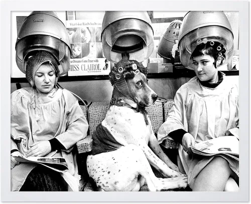 Vista 16 de Monem Art - Póster de perro en el spa, impresión de perros y mujeres, arte de fotografía, arte de moda, arte en blanco y negro, arte humorístico