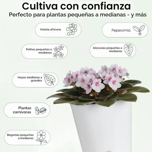 Vista 5 de Paquete de 8 macetas de riego automático de 4 pulgadas para plantas de interior, taza interior transparente, pequeñas macetas de plástico blanco