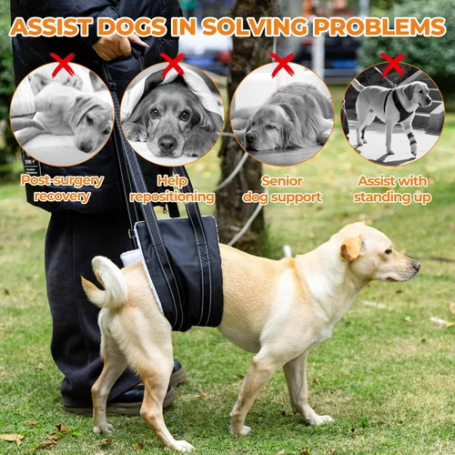Vista 3 de Arnés de elevación para perro, ajustable y cómodo arnés para perro con asa para rodilla de perro grande para desgarro de ACL, patas traseras