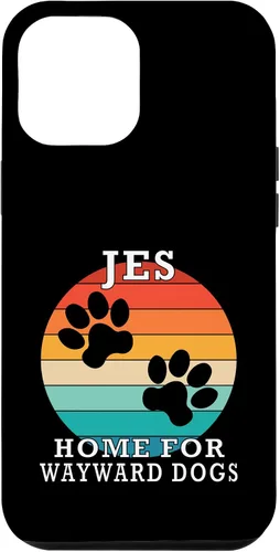 Vista 26 de JES Home for Wayward Dogs Family Name Case for iPhone 16