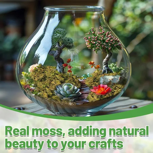 Vista 3 de Musgo verde natural de 10 onzas para principiantes, musgo de inicio para plantas de interior, jardines de hadas artificiales, mini mosswall
