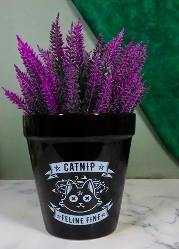 Vista 5 de Ebros Gift Wicca Brujería Gótica Magia Maceta de Cerámica Negra, Contenedor Floral Alquímico Oculto, Jardinera para Alquimista, Florero, Pulgar