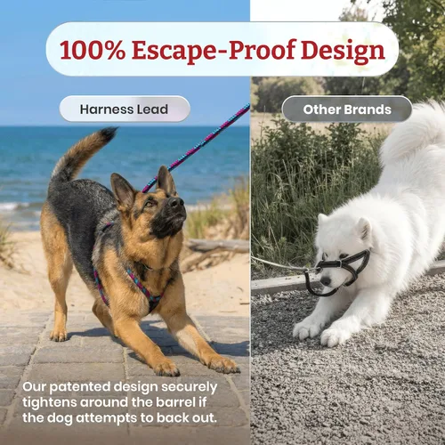 Vista 5 de Harness Lead Juego de arnés y correa para perro sin tirones, arnés antitirones para todas las razas y tamaños, diseño de cuerda acolchada de una