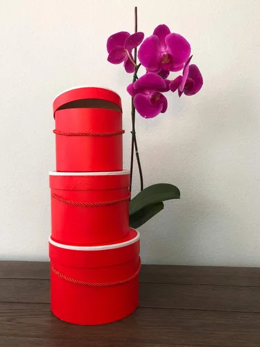 Vista 7 de UNIKPACKAGING Caja de flores redonda de alta calidad, cajas de regalo para arreglos florales y de regalo, juego de 3 piezas, con tapas, tamaño Negro