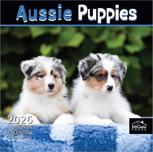 Vista 26 de MICASA PRESS Calendario de pared de Australian Shepherds Aussies 2027 02 - Pastores australianos