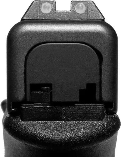 Vista 2 de NDZ Performance Gen 1-4 Rear Slide Cover Plate for Glock 9mm .40 .357 .45 Laser Engraved Popular Images in Black Aluminum - Choose Image