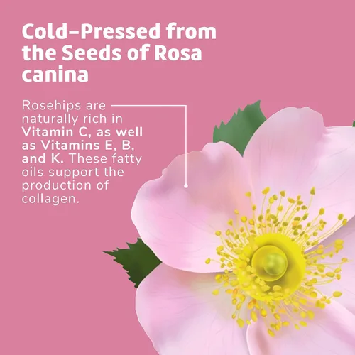 Vista 7 de De La Cruz Aceite de rosa mosqueta, aceite de semilla de rosa mosqueta chilena 100% puro sin refinar, prensado en frío, hidratante para reducir