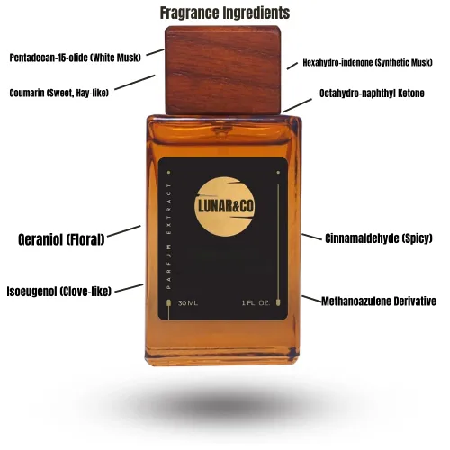 Vista 2 de Fragancia Nuit del Hombre INSPIRADA EN La Nuit de l'Homme para hombre perfum para hombre fragancias colonia nicho concentrado de larga
