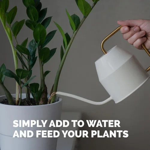 Vista 5 de ZZ Fertilizante para plantas – Alimento líquido para plantas para hojas verdes brillantes, raíces más fuertes y un nuevo crecimiento saludable, 8