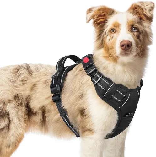Vista 38 de Rabbitgoo - Arnés para perro de tamaño pequeño, arnés para mascotas sin tirones con 3 hebillas, chaleco acolchado suave ajustable con mango